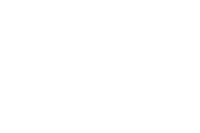 OAV Group